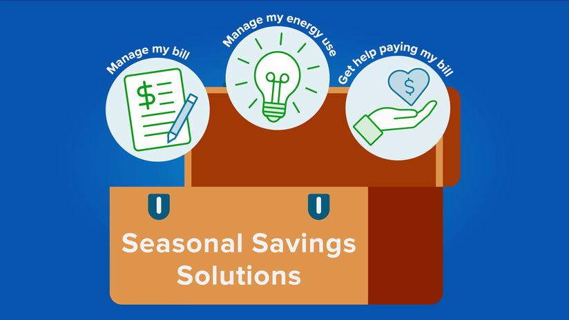 PPL Semi Annual Savings